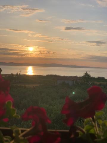 Apartament Kalelia Nea Poteidaia Zewnętrze zdjęcie